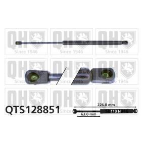 Heckklappendämpfer QTS128851