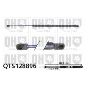 Achetez des Vérin de coffre QUINTON HAZELL QTS128896 à prix pour 21,30 €