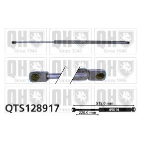 Achetez des Vérin de coffre QUINTON HAZELL QTS128917 à prix pour 27,46 €