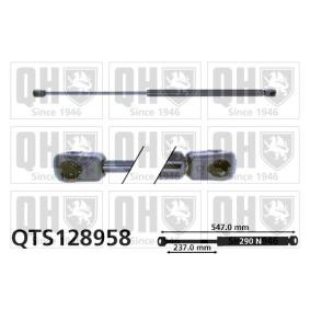 Achetez des Vérin de coffre QUINTON HAZELL QTS128958 à prix pour 29,66 €