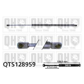 Achetez des Vérin de coffre QUINTON HAZELL QTS128959 à prix pour 20,59 €