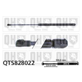 Heckklappendämpfer von QUINTON HAZELL QTS828022