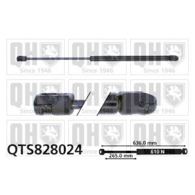 Heckklappendämpfer QTS828024 von QUINTON HAZELL günstig für 17,12 € online kaufen