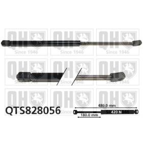 Heckklappendämpfer QTS828056 von QUINTON HAZELL günstig für 32,75 € online kaufen