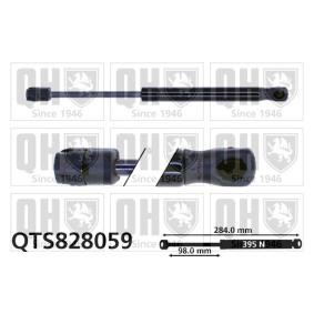 Achetez des Vérin de coffre QUINTON HAZELL QTS828059 à prix pour 49,95 €