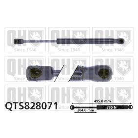 Heckklappendämpfer von QUINTON HAZELL QTS828071