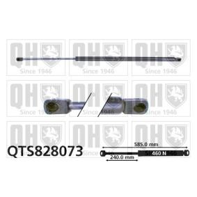 Heckklappendämpfer von QUINTON HAZELL QTS828073