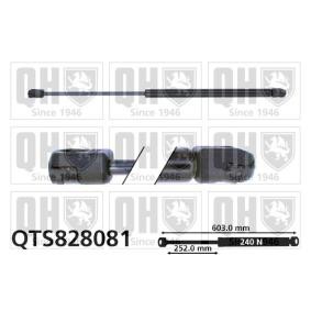Heckklappendämpfer QTS828081 von QUINTON HAZELL günstig für 19,46 € online kaufen