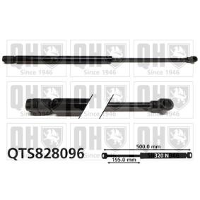 Heckklappendämpfer QTS828096 von QUINTON HAZELL günstig für 20,05 € online kaufen
