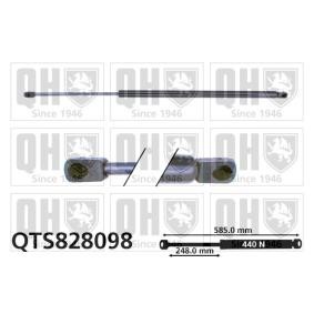 Heckklappendämpfer QTS828098 von QUINTON HAZELL günstig für 32,59 € online kaufen