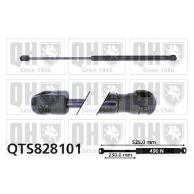 Achetez des Vérin de coffre QUINTON HAZELL QTS828101 à prix pour 21,89 €