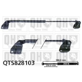 Achetez des Vérin de coffre QUINTON HAZELL QTS828103 à prix pour 34,30 €