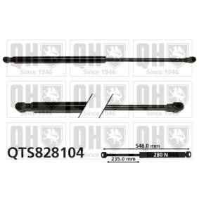 Achetez des Vérin de coffre QUINTON HAZELL QTS828104 à prix pour 42,65 €
