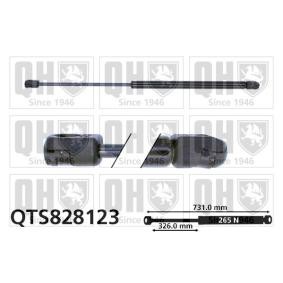 Köp Gasfjäder, motorhuv av QUINTON HAZELL QTS828123 till det låga priset 336,69 kr