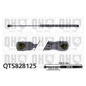 Achetez des Vérin de coffre QUINTON HAZELL QTS828125 à prix pour 16,62 €