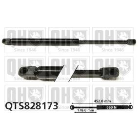 Achetez des Vérin de coffre QUINTON HAZELL QTS828173 à prix pour 23,77 €