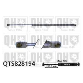 Achetez des Vérin de coffre QUINTON HAZELL QTS828194 à prix pour 27,37 €