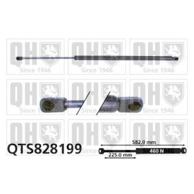 Achetez des Vérin de coffre QUINTON HAZELL QTS828199 à prix pour 29,04 €
