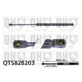 Achetez des Vérin de coffre QUINTON HAZELL QTS828203 à prix pour 19,47 €