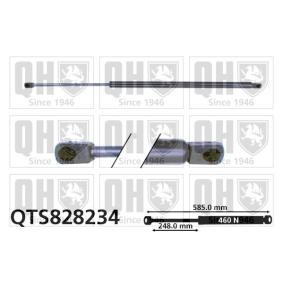 Heckklappendämpfer QTS828234 von QUINTON HAZELL günstig für 28,03 € online kaufen