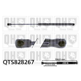 Achetez des Vérin de coffre QUINTON HAZELL QTS828267 à prix pour 23,77 €