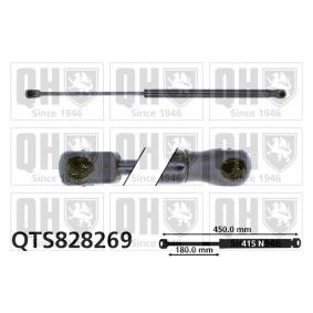 Heckklappendämpfer QTS828269