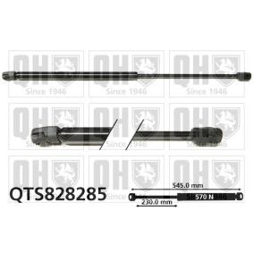 Heckklappendämpfer QTS828285 von QUINTON HAZELL günstig für 22,74 € online kaufen