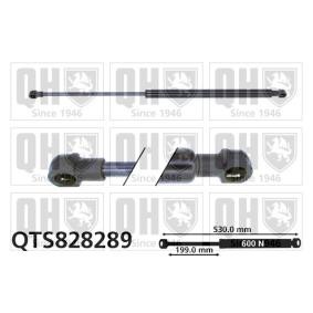 Achetez des Vérin de coffre QUINTON HAZELL QTS828289 à prix pour 23,77 €