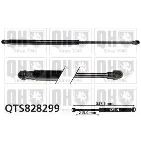 Gasfeder, Heckscheibe QTS828299 von QUINTON HAZELL günstig für 23,31 € online kaufen