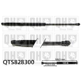 Gasfeder, Heckscheibe QTS828300 von QUINTON HAZELL günstig für 24,86 € online kaufen