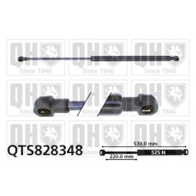 Heckklappendämpfer von QUINTON HAZELL QTS828348