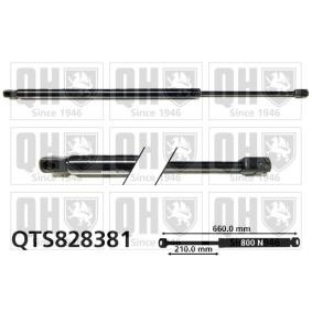 Achetez des Vérin de coffre QUINTON HAZELL QTS828381 à prix pour 26,16 €