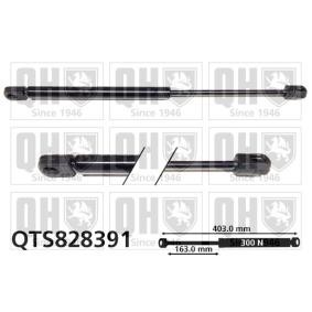Achetez des Vérin de coffre QUINTON HAZELL QTS828391 à prix pour 27,91 €