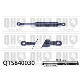 Heckklappendämpfer QTS840030
