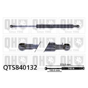 Achetez des Vérin de coffre QUINTON HAZELL QTS840132 à prix pour 36,98 €