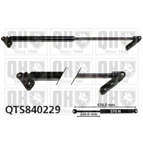 Heckklappendämpfer QTS840229 von QUINTON HAZELL günstig für 103,49 € online kaufen