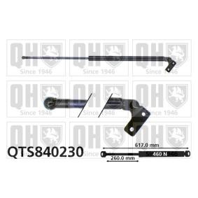 Heckklappendämpfer QTS840230 von QUINTON HAZELL günstig für 101,04 € online kaufen