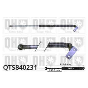 Heckklappendämpfer QTS840231 von QUINTON HAZELL günstig für 101,04 € online kaufen