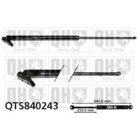 Heckklappendämpfer von QUINTON HAZELL QTS840243