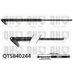 Heckklappendämpfer von QUINTON HAZELL QTS840244
