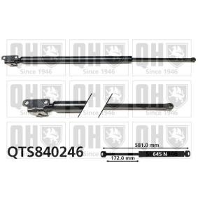 Heckklappendämpfer von QUINTON HAZELL QTS840246