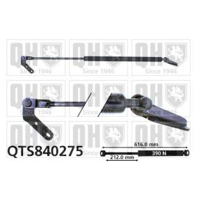Heckklappendämpfer von QUINTON HAZELL QTS840275