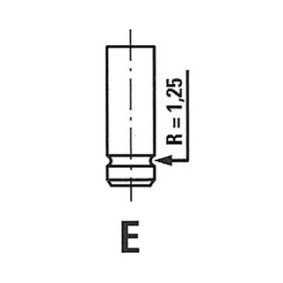 Auslaßventil R6234/RNT