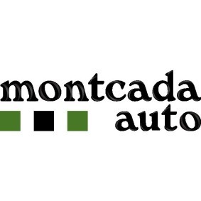 Köp Gasfjäder till baklucka av Montcada RAL003 till det låga priset 460,45 kr
