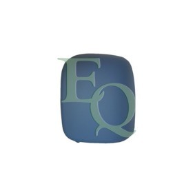 Kjøp Tildekning, sidespeil av EQUAL QUALITY RD02501 til den lave prisen 174,22 NOK