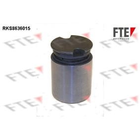 Comprar Émbolo, pinza del freno de FTE RKS8636015 a bajo precio de 20,60 €