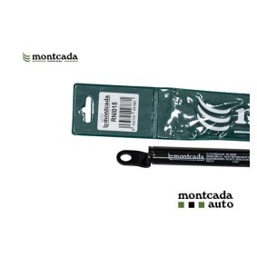 Heckklappendämpfer RNI015
