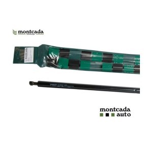 Köp Gasfjäder till baklucka av Montcada RRE011 till det låga priset 485,28 kr