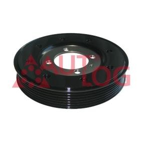 Achetez des Poulie damper (vilebrequin) AUTLOG RT1914 à prix pour 78,09 €