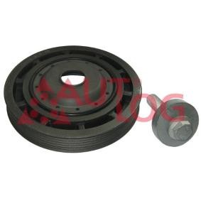 Comprar Kit poleas, cigüeñal de AUTLOG RT2534 a bajo precio de 42,58 €